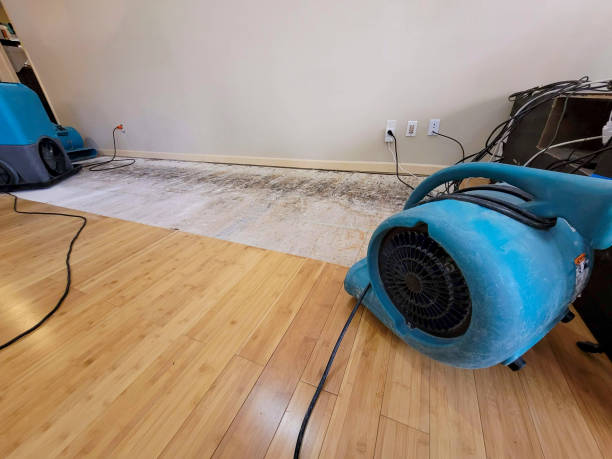Professional Sewage Cleanup technician working in Houston, OH